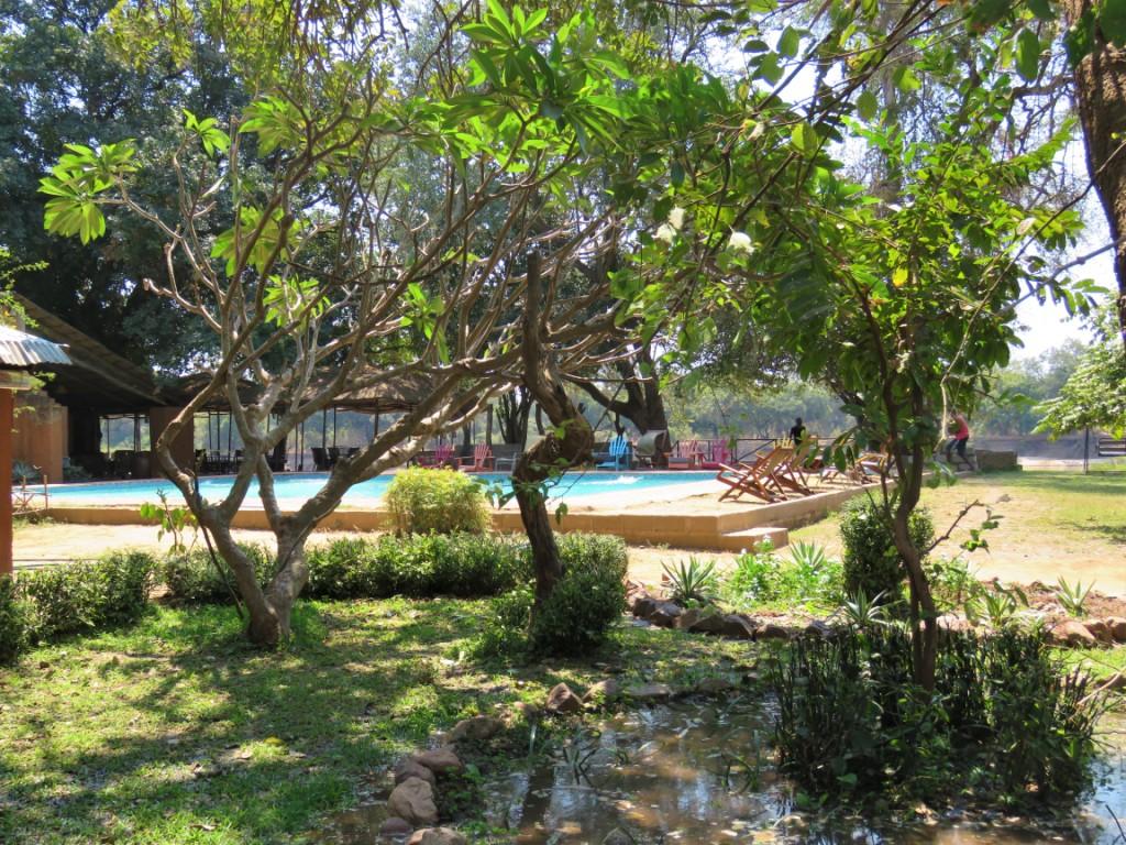 Croc Valley Camp Garden