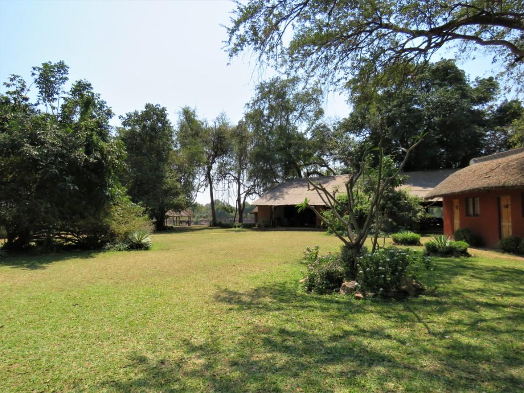 Croc Valley Camp Garden