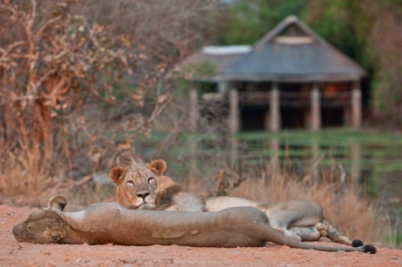 Bush Spa South Luangwa