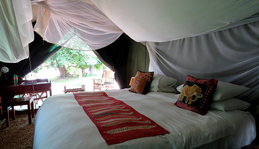 Safari Camp River Front Tent