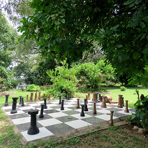 Chess Board Croc Valley