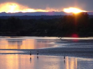 Luangwa River Sunset