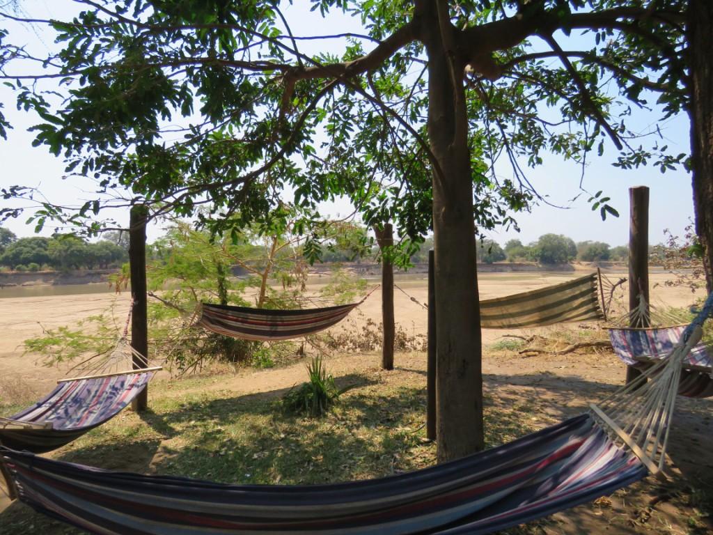 Croc Valley Camp Hammocks