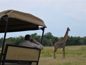 South Luangwa Game Drive