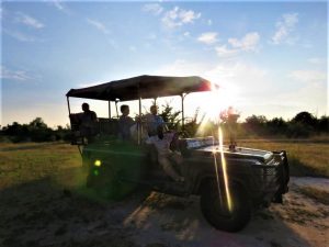 South Luangwa Game Drive Sunse