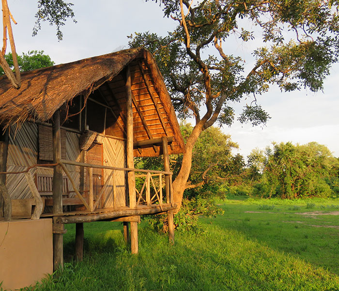 Chalet Safari Accommodation South Luangwa