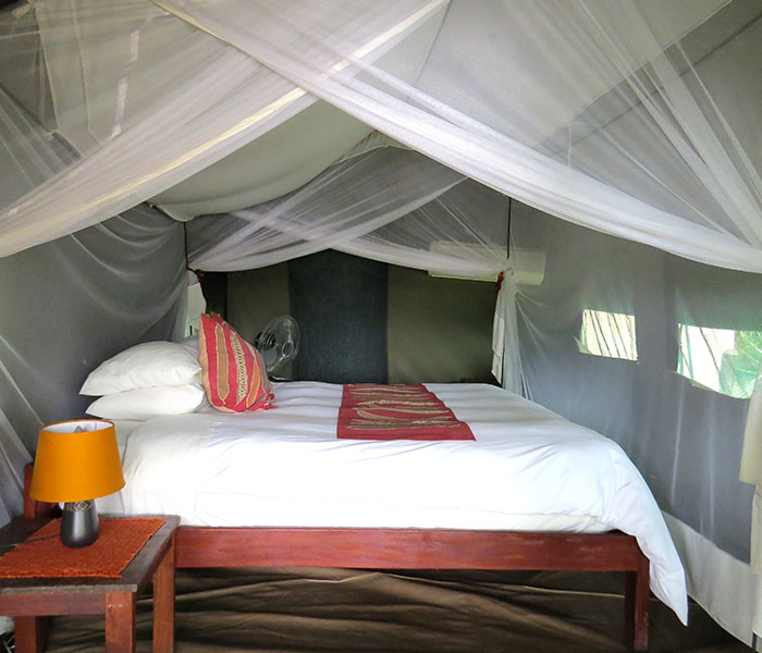 River Tent Bed South Luangwa