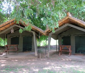 Eco Tents Safari Camp Accommodation