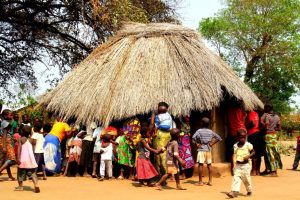 Mfuwe Village Community