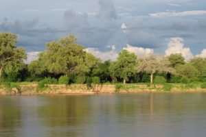 Luangwa River during rainy season