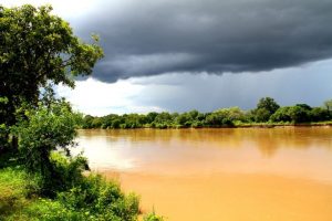 Luangwa River Rainy Season