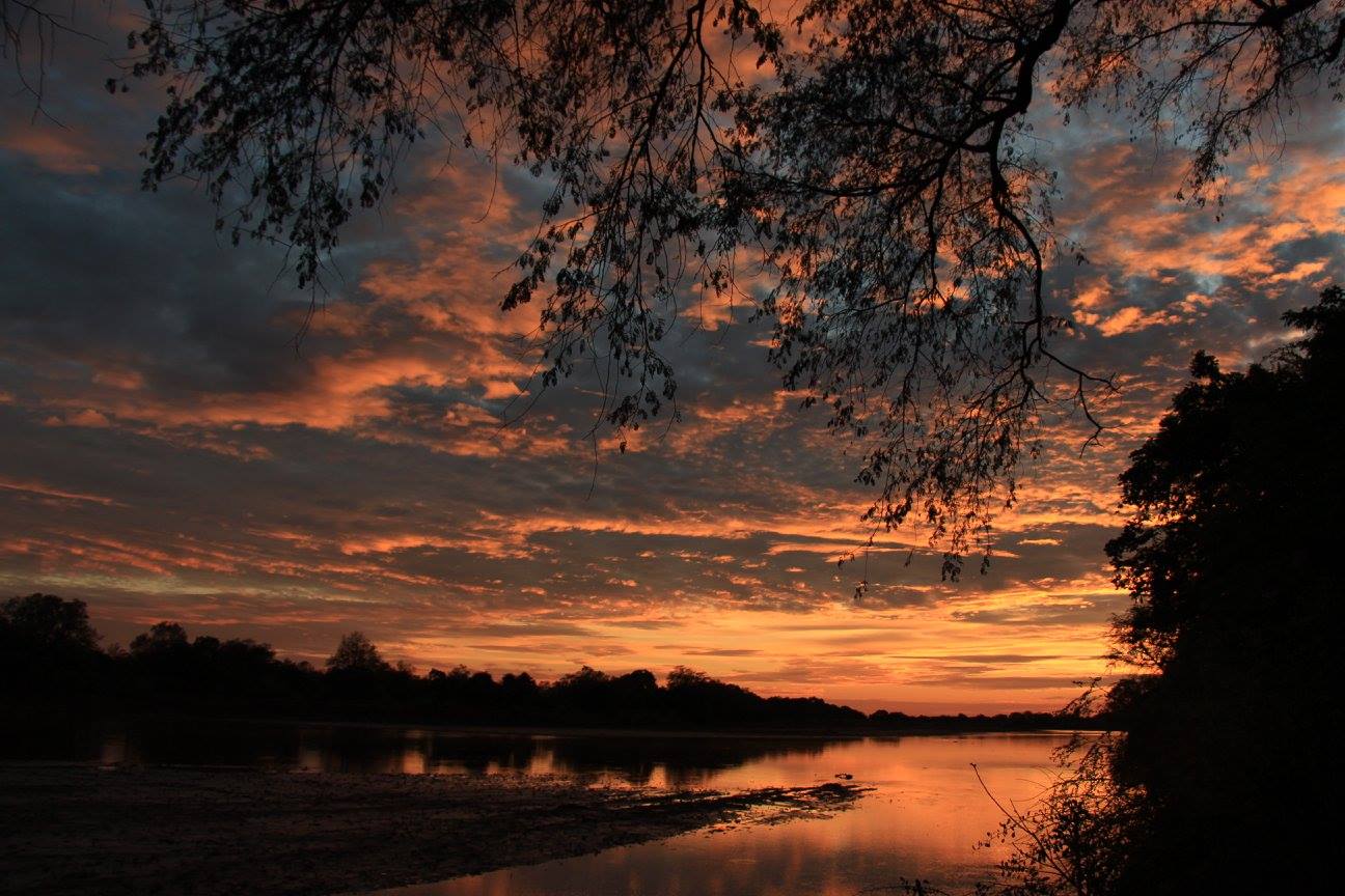 Luangwa River Zambia