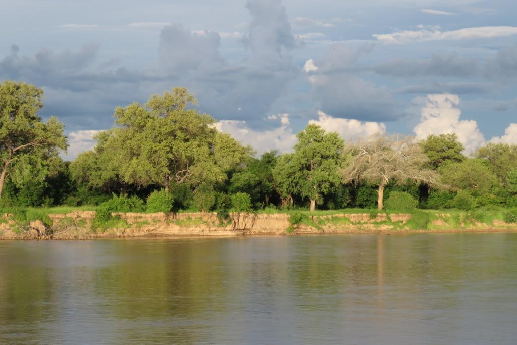 Luangwa River Green Season