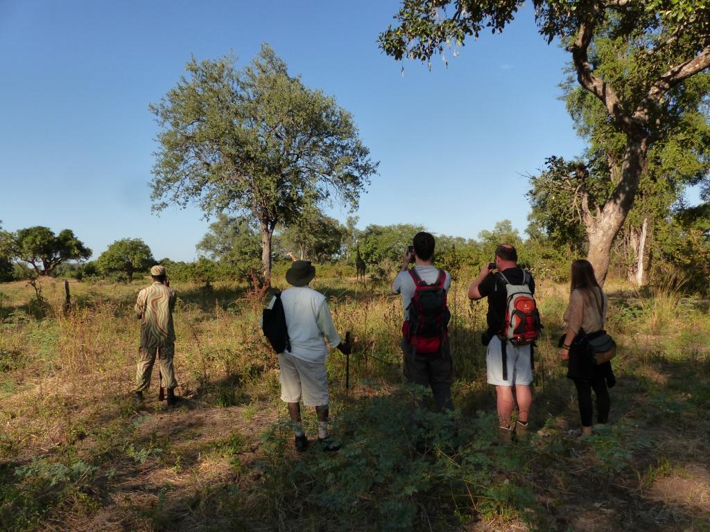 Walking Safari South Luangwa Zambia