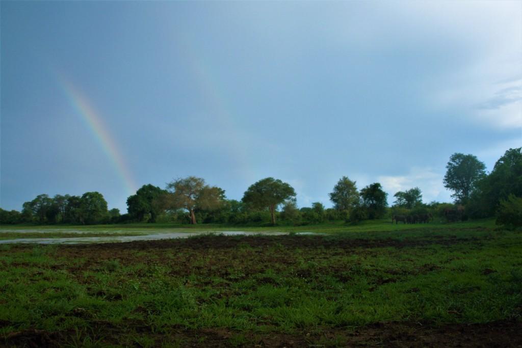 Rainbow Green Season South Luangwa