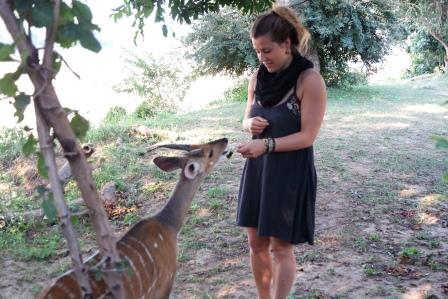 Volunteering Croc Valley Camp