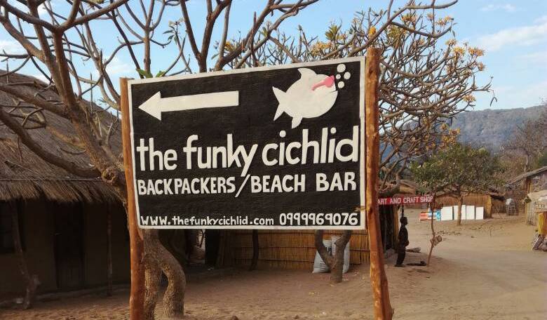 Funky Cichlid