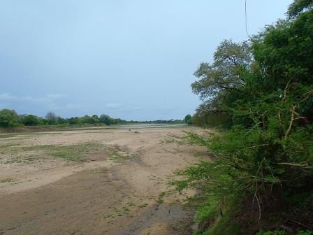 Green Season South Luangwa