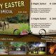 Croc Valley Easter Special
